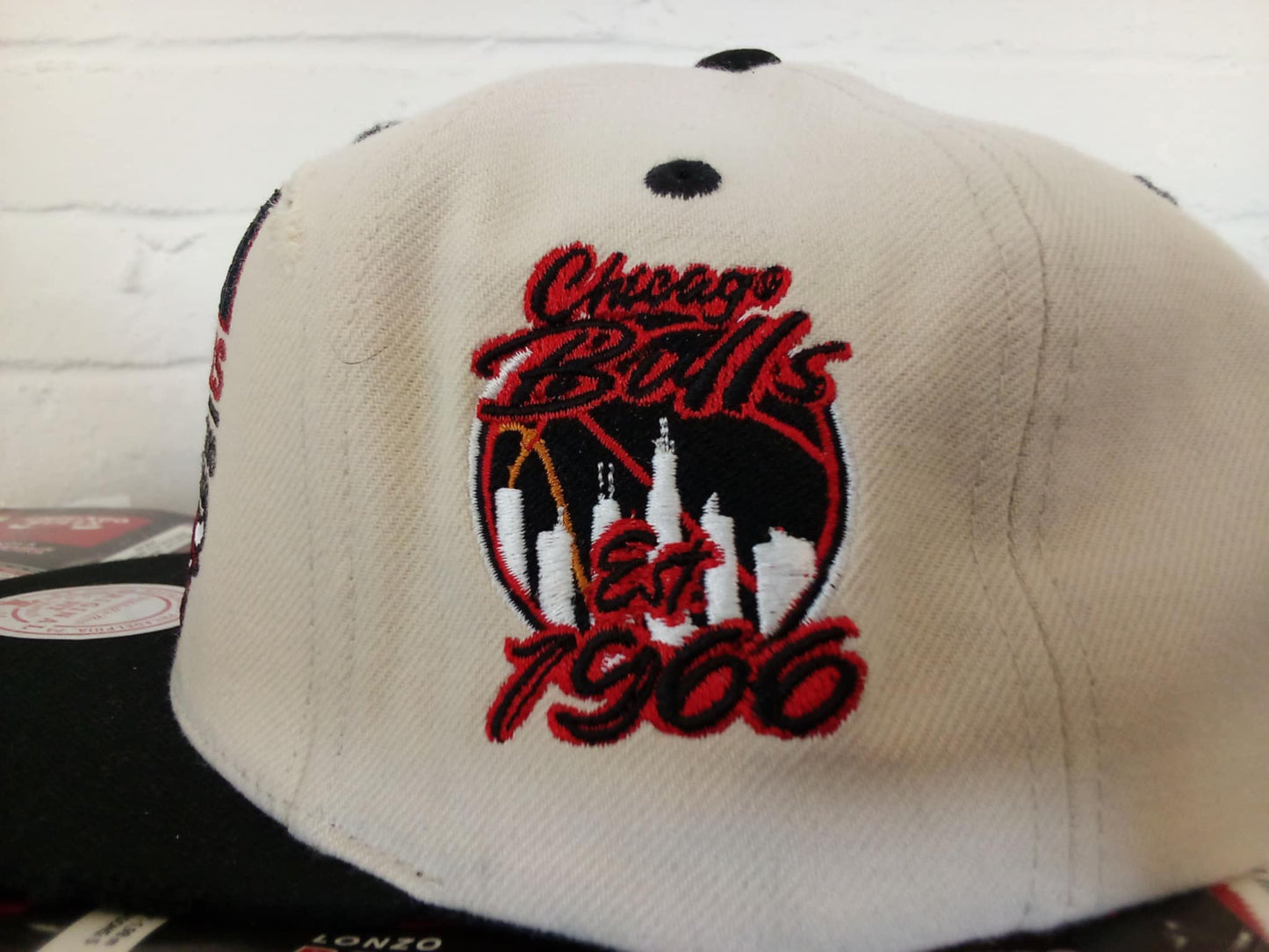 Chicago Bulls Distortion 1966 Mitchell and Ness